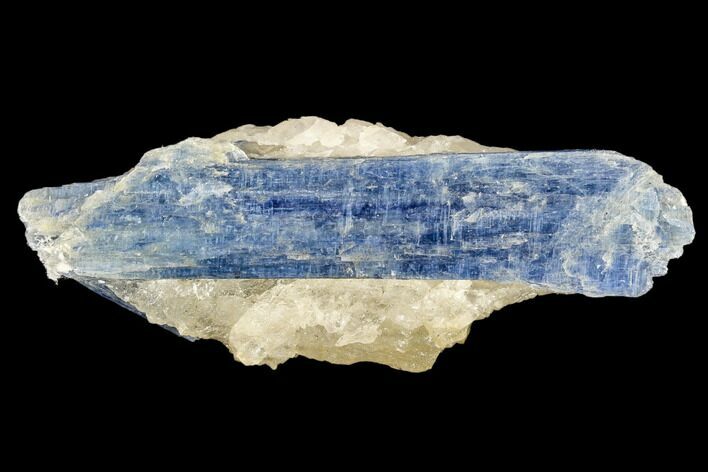 Vibrant Blue Kyanite Crystal Cluster - Brazil #113487